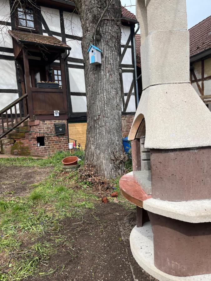 Апартаменти Fachwerk In Bergfreiheit Бад-Вільдунген Екстер'єр фото